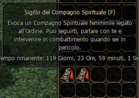 Compagno Spirituale di Afterfall